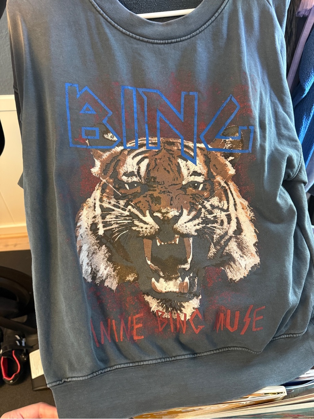 Anine Bing Blue Tiger Graphic Sweatshirt